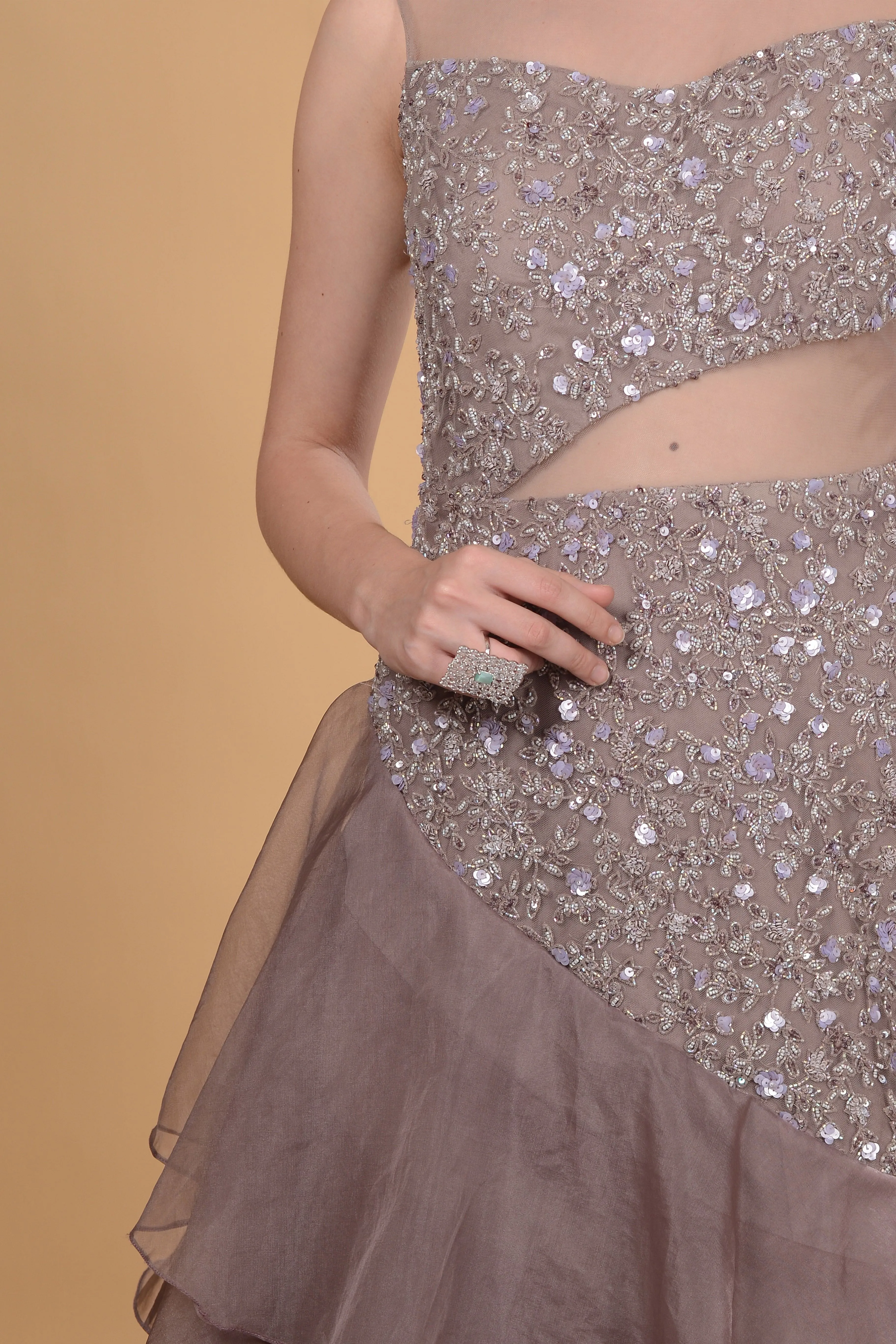 Ash Grayish Gown.