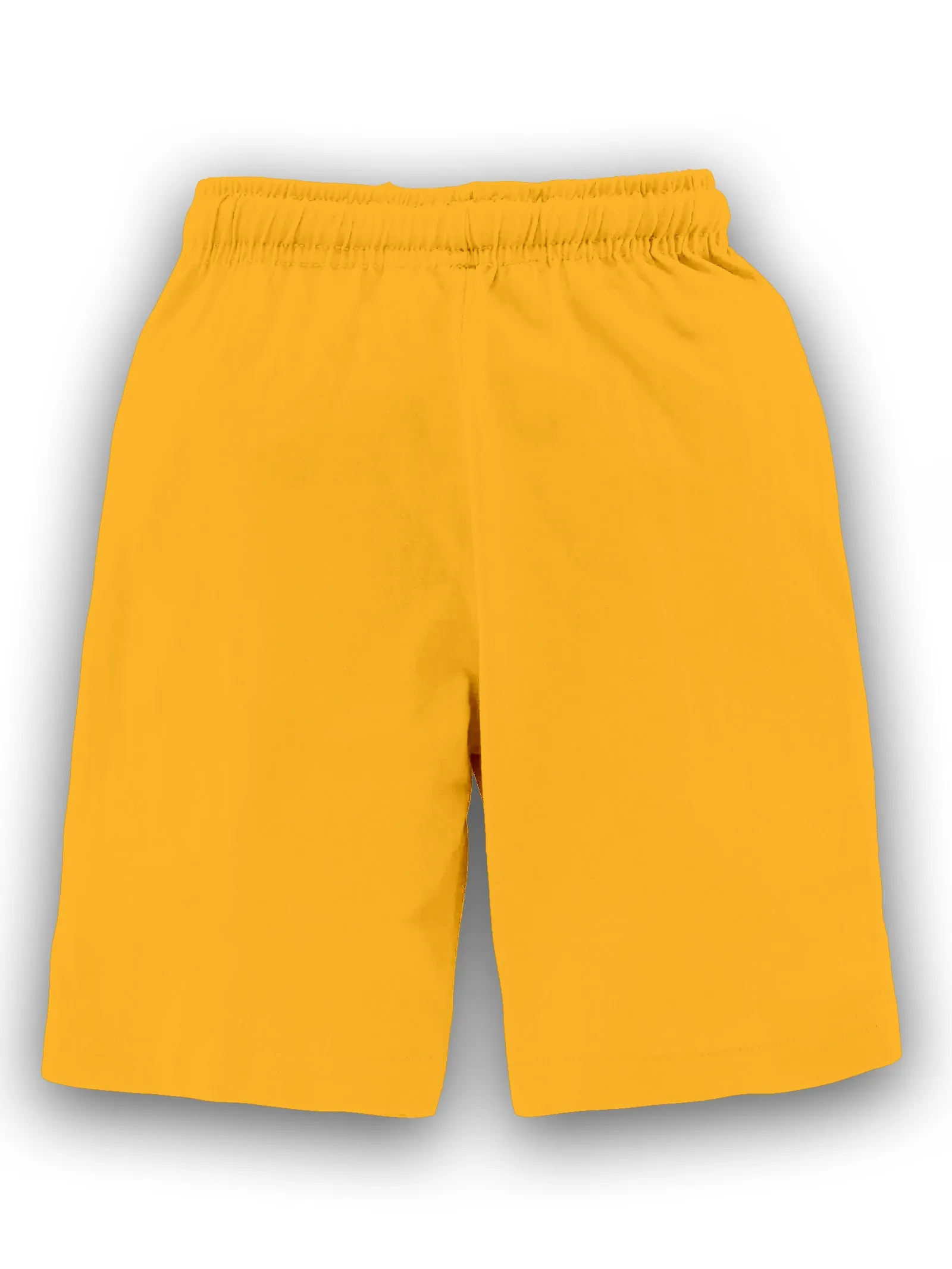 Boys Printed Sleeveless Tee & Knit Knee length Basic Short Set