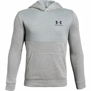 Under Armour Kids EU Cotton Fleece Hoody