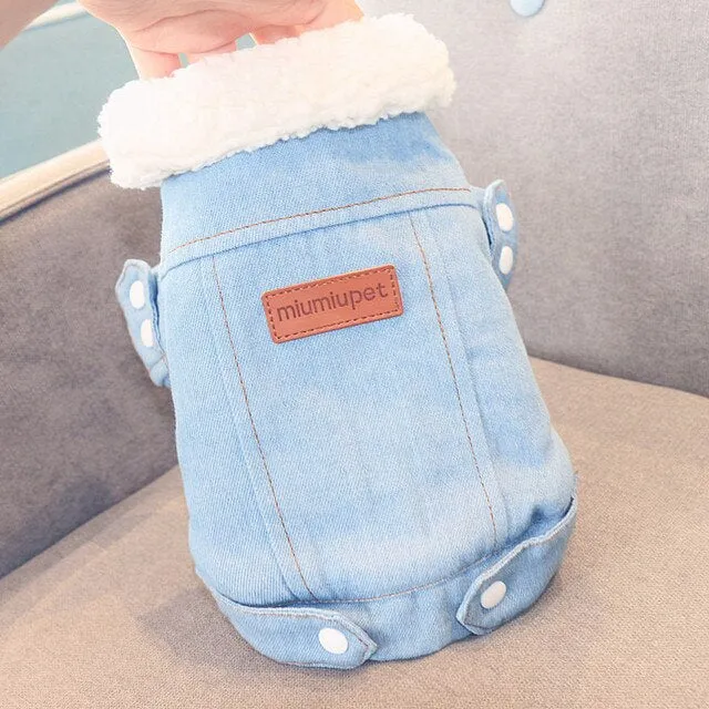 Warm Cotton Collar Pet Cat Clothes For Cats Winter Denim Cat Coat Jacket Thicken Gatos kedi Mascotas Clothing Ropa Para Gato