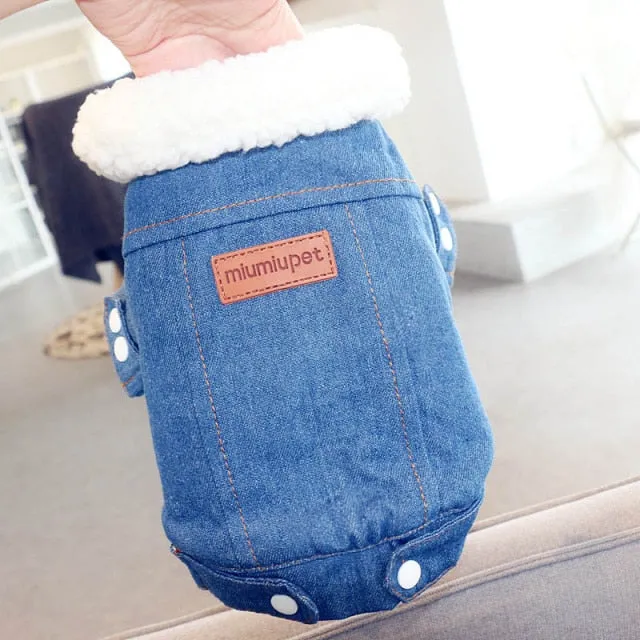 Warm Cotton Collar Pet Cat Clothes For Cats Winter Denim Cat Coat Jacket Thicken Gatos kedi Mascotas Clothing Ropa Para Gato